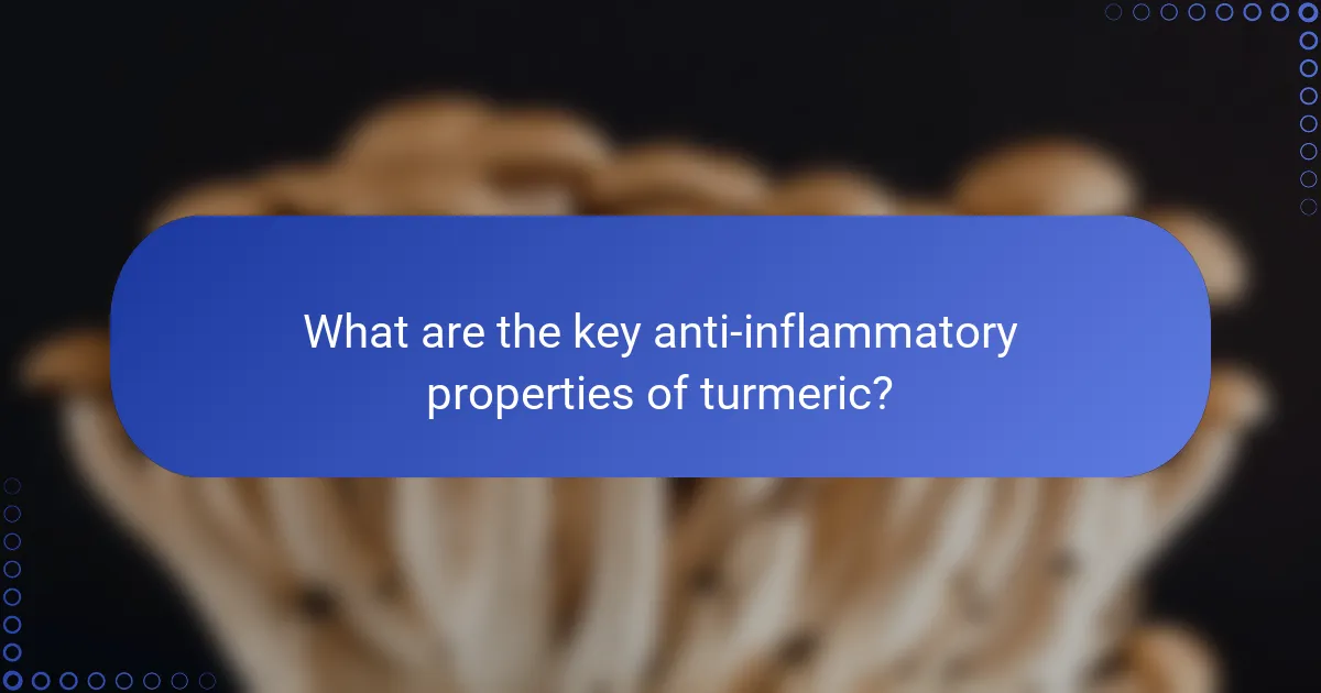 What are the key anti-inflammatory properties of turmeric?