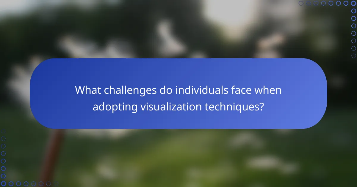 What challenges do individuals face when adopting visualization techniques?